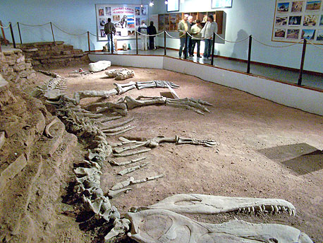 Centro Paleontológico Lago Barreales